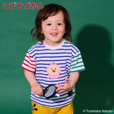 【4月29日発売予定】【こびとづかん】ボーダー半袖Tシャツ