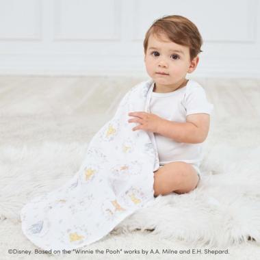 【aden + anais】スワドル/くまのプーさん/ウィニー+フレンズ/2枚