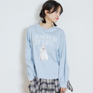 【綿100%】グラフィックアソート長袖T