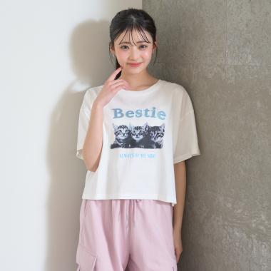 【綿100%】キャットモチーフフォト半T