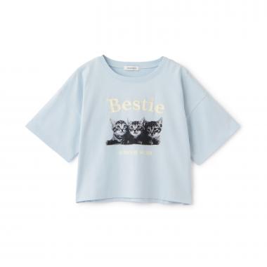 【綿100%】キャットモチーフフォト半T