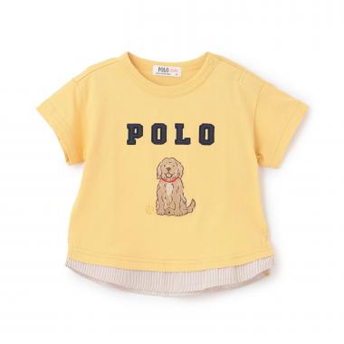 【POLO BCS】アップリケ半袖Tシャツ