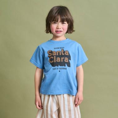 【防汚・速乾・型崩れしない】選べる８パターンアソートプリントTシャツ