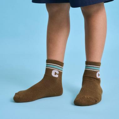 ラインアソートクルーソックス